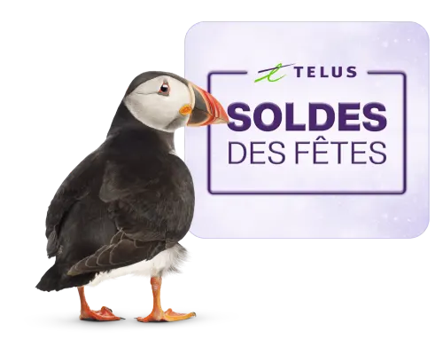 Un Macareux se tient devant un logo qui dit : « Soldes du Cyberlundi ».