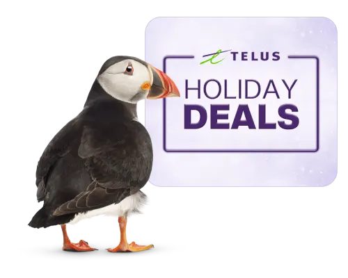 A Puffin stands infront of a logo that reads, "Holiday Deals".