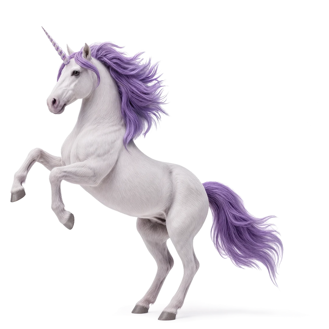 Unicorn image