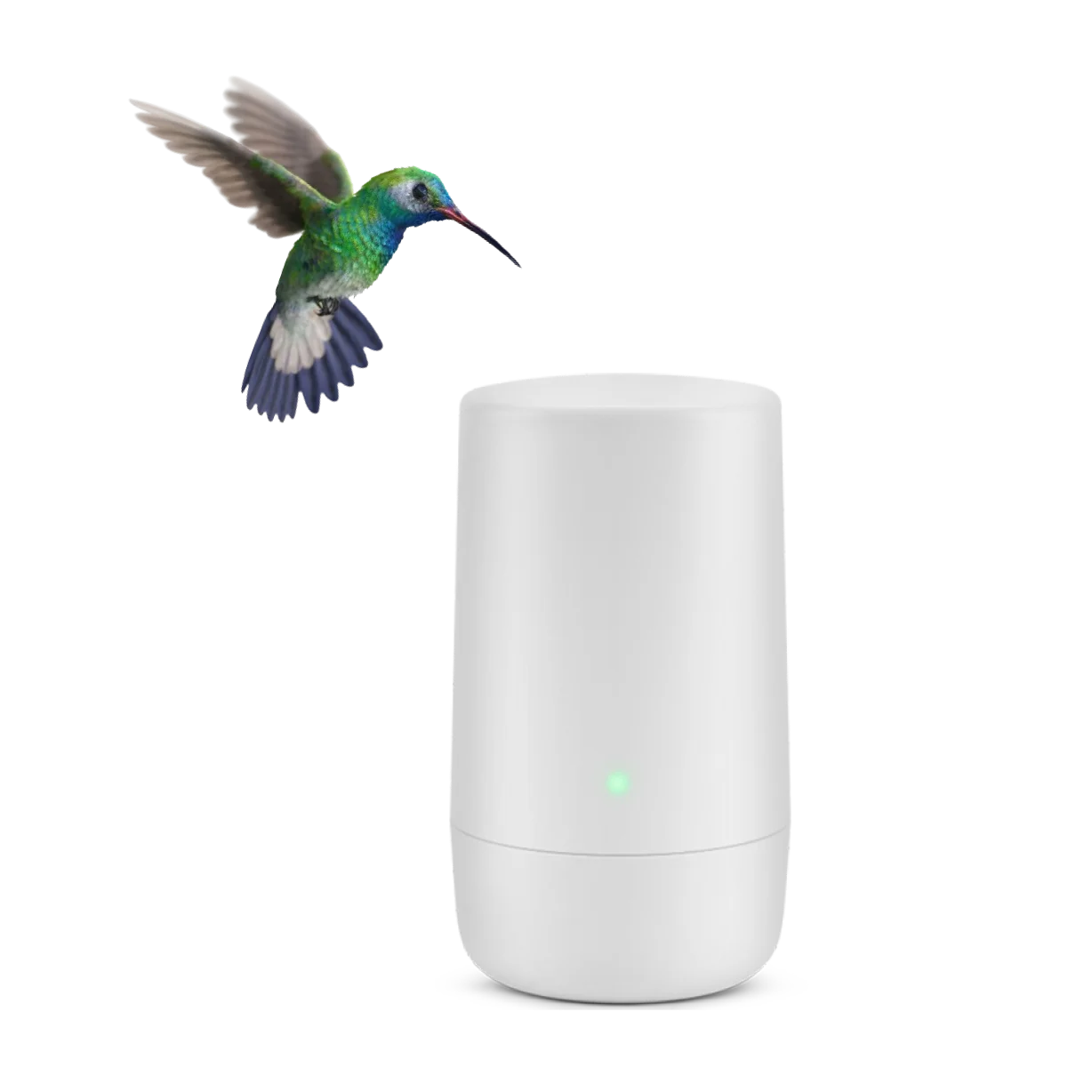 A hummingbird hovering over a TELUS modem.