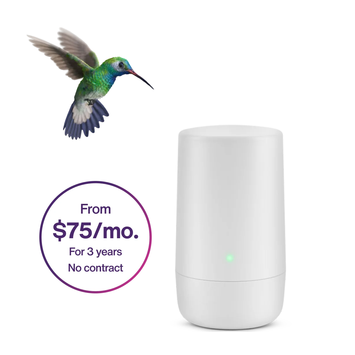 A hummingbird hovering over a TELUS modem. A sticker on the left reads: From $75/mo. for 3 years. No contract.
