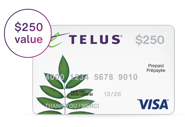 A $250 Prepaid Visa card. A roundel on the left reads: $250 value.