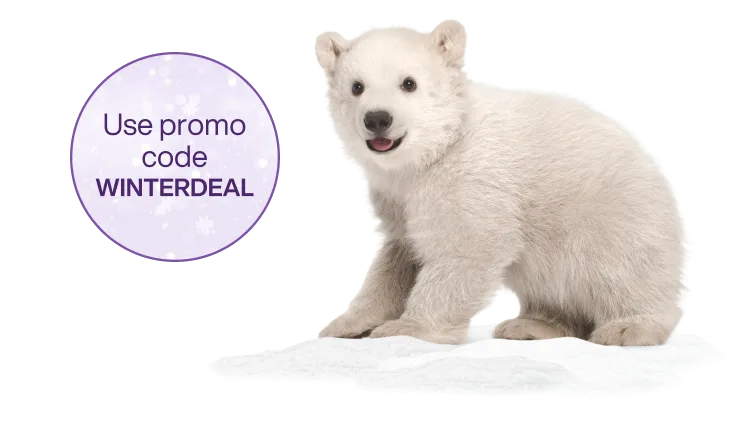 A polar bear sitting next to a roundel. The roundel reads “Use promo code WINTERDEAL”.
