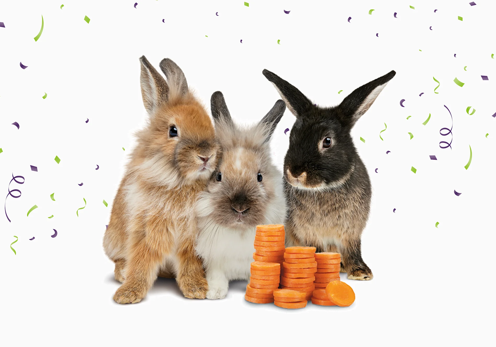 Three bunnies snuggling behind stacks of coin-shaped carrot slices with green and purple confetti in the background. 