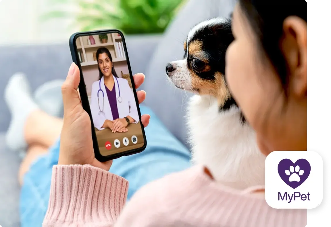 a woman sits with her dog while using the TELUS Health MyPet app to access virtual pet care services
