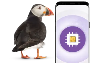 A Puffin stands beside a smartphone displaying an image of a SIM card.