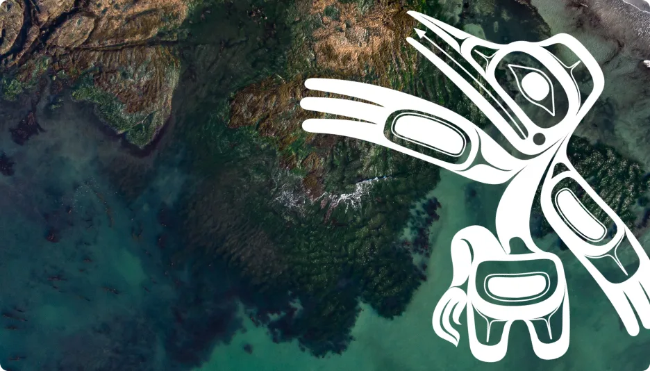 Artwork representing a hummingbird over the landscape of Nootka Island, British Columbia.