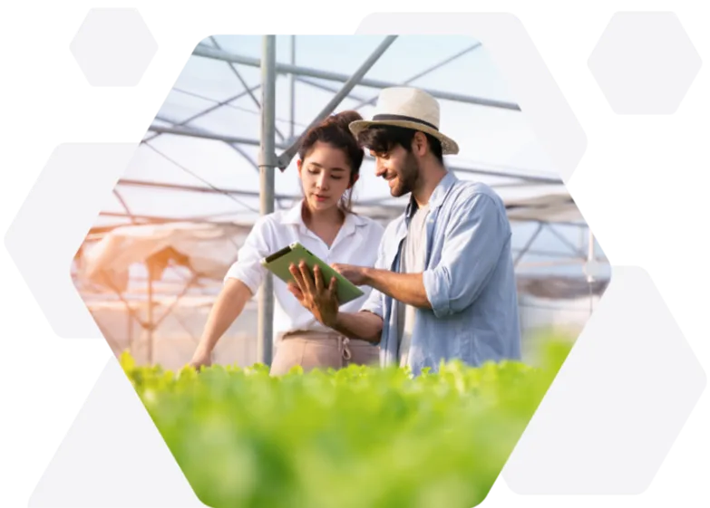 A man and a lady viewing a tablet together inside of a greenhouse.