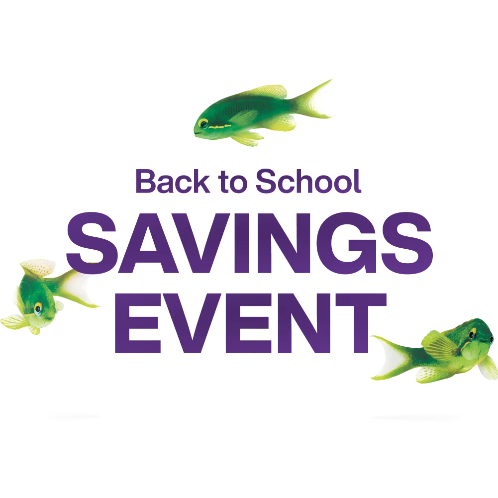 Three green fish are positioned around the text 'Back to School SAVINGS EVENT' one in the upper portion, one on the left side, and one in the lower right area of the image.