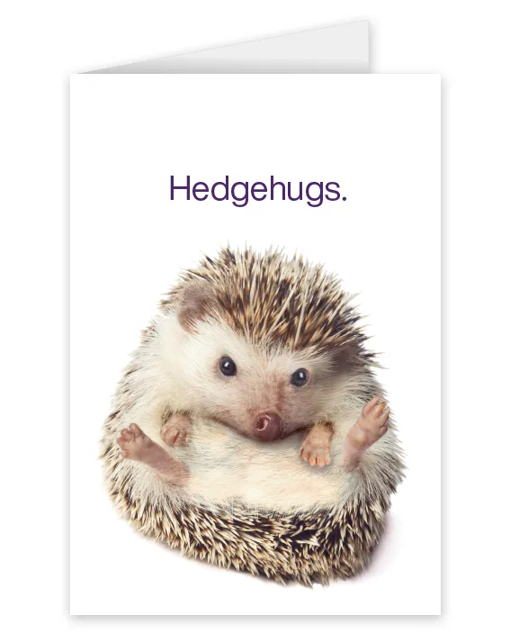 A card featuring a hedgehog that says: Hedgehugs