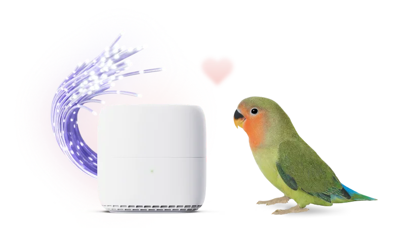A lovebird standing next to a TELUS modem.