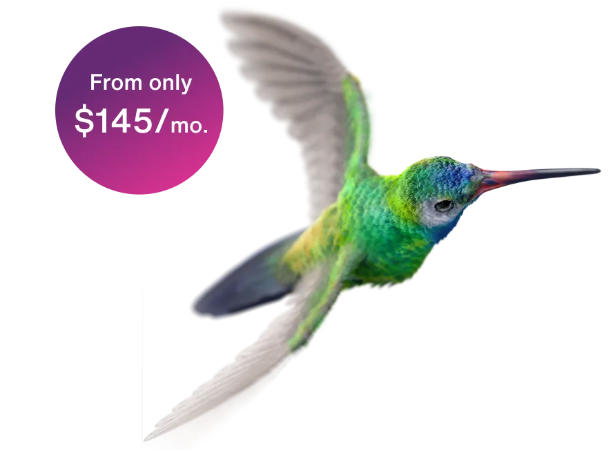 A colorful hummingbird rejoicing at the new TELUS 5-gigabit purefibre internet speed tier, the fastest available in western Canada.