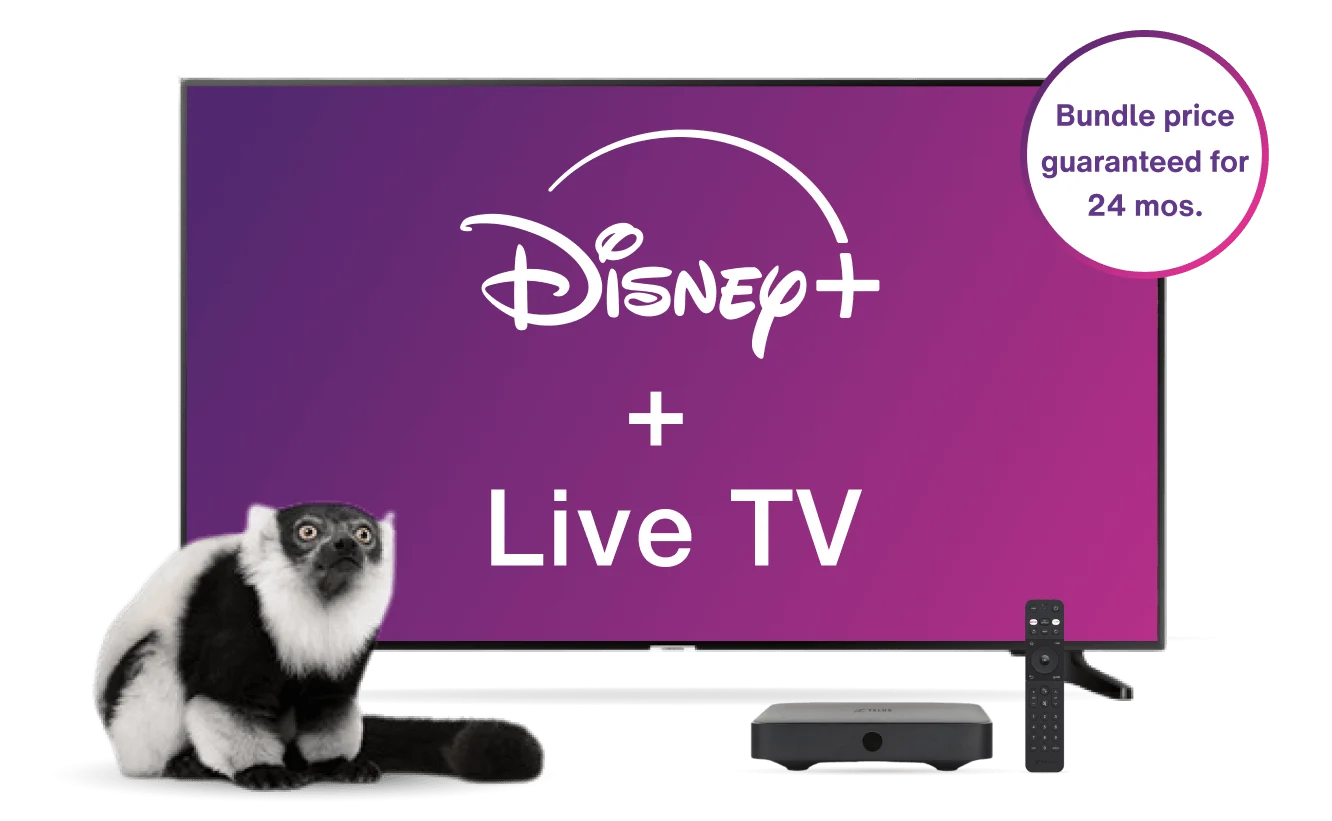 A TV displays the Optik TV offer of live TV and Netflix together with a TELUS TV Digital Box while a lemur looks on.