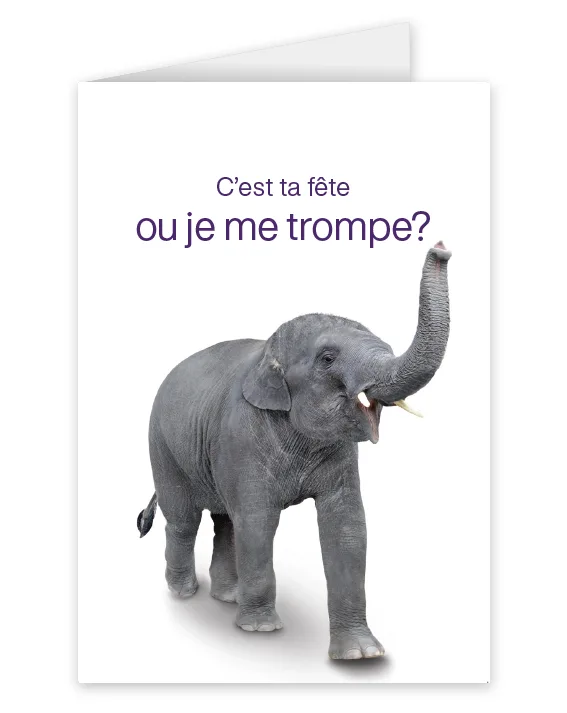 Une carte représentant un éléphant portant l’inscription : C’est ta fête ou je me trompe?