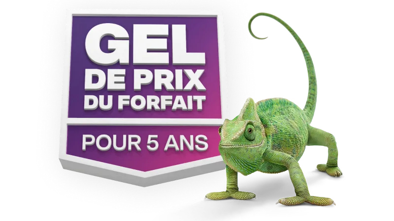 Un caméléon vert debout à côté d'un badge avec la mention « Gel de prix du forfait pour 5 ans ».