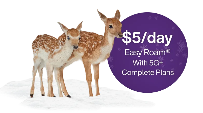 Two deer inspecting a circle including text that reads, '$5/day Easy Roam® with 5G+ Complete Plans'.