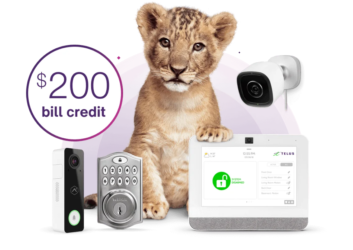 A tiger cub with SmartHome Security doorbell, lock and control panel and a roundel saying “$200 bill credit”.