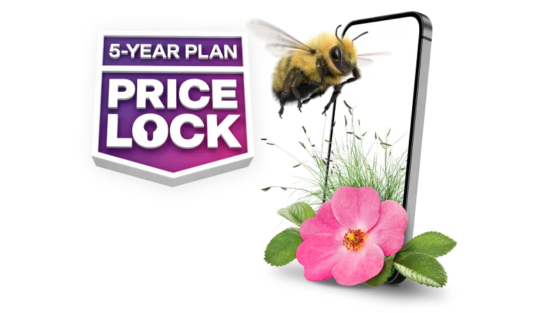 '5-YEAR PLAN PRICE LOCK' A bumblebee flies towards a smartphone with a wild desert rose flower sitting next to it.