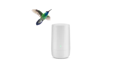 A hummingbird hovering over a TELUS modem.