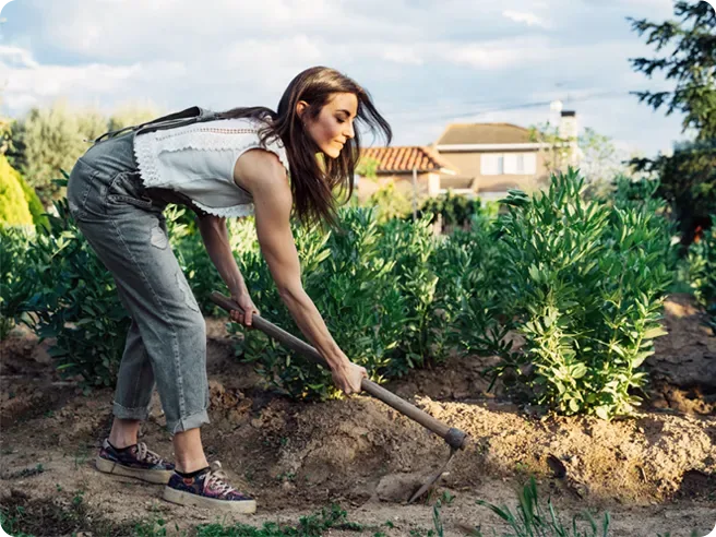 A woman is digging in the dirt in a yard behind a house.