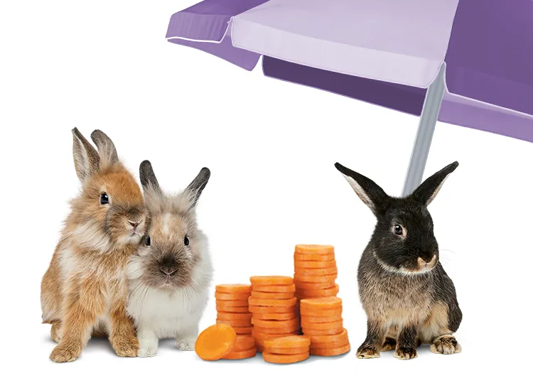 Bunnies with carrots that look like coins.