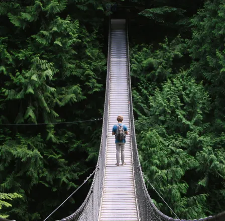 Personne traversant un pont de cordage dans une forêt. 