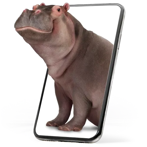 A hippo emerges from a smartphone.