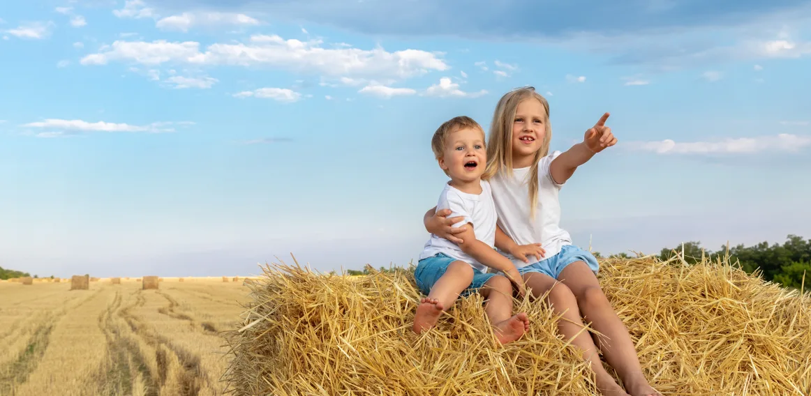 Two children on a hay bale, pointing in the distance