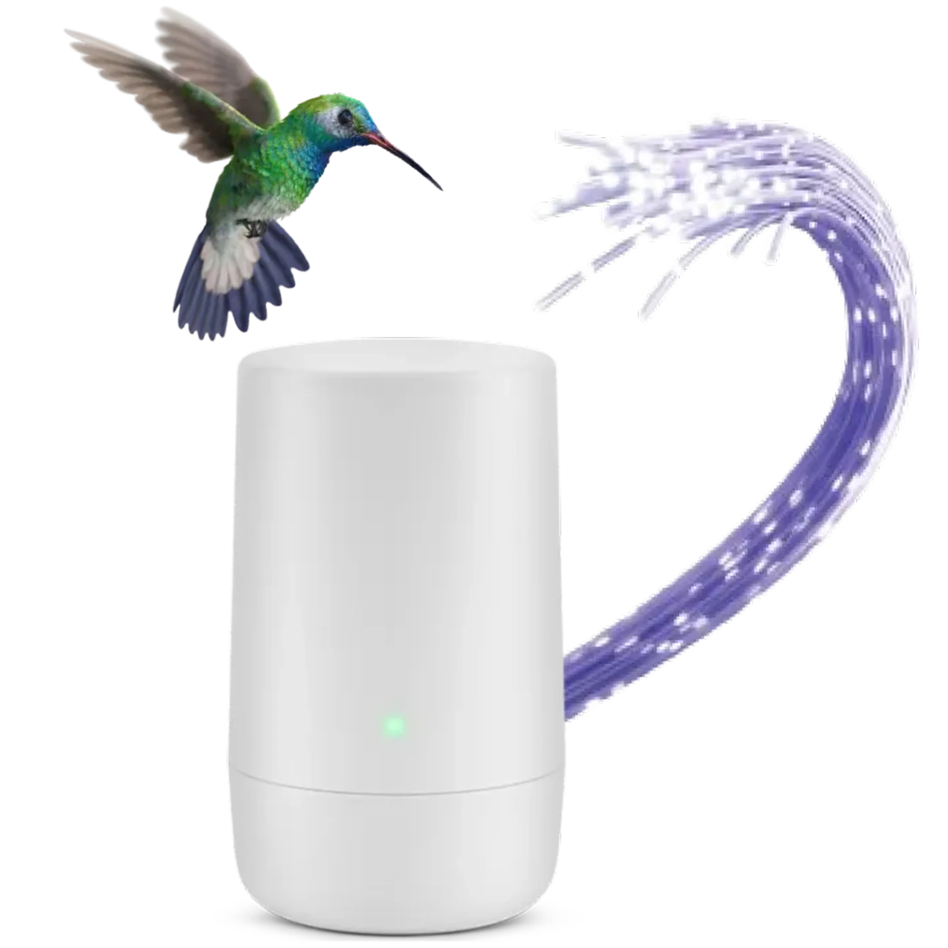 A hummingbird hovering over a TELUS modem.
