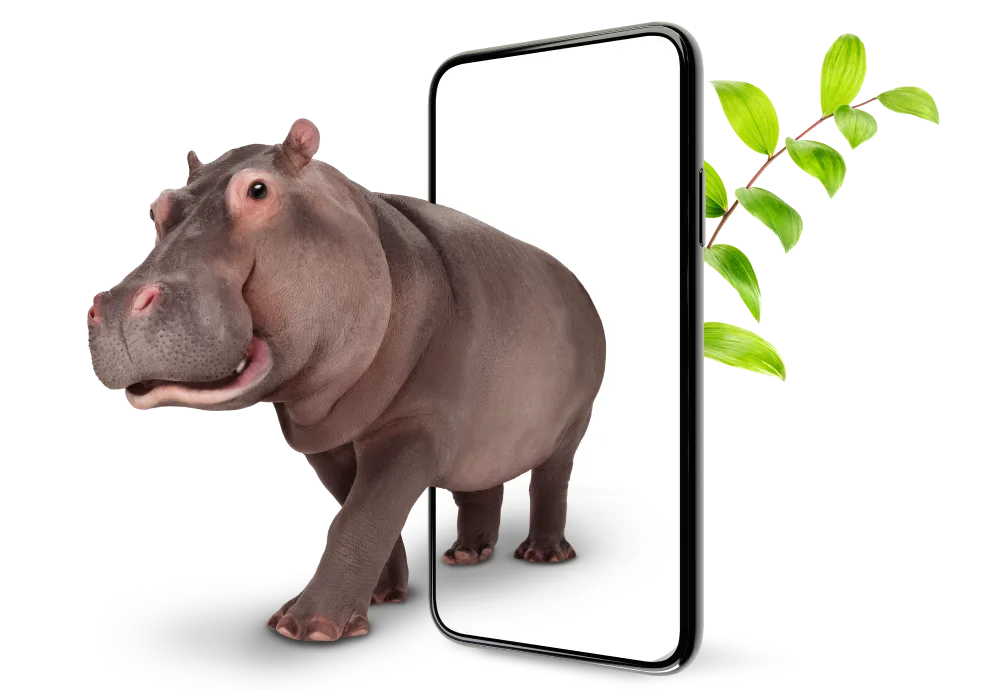 Dans une illustration vivante de la protection solide offerte par Protection complète d’appareils, un hippopotame émerge d'un cadre de téléphone intelligent, avec une feuille verte vibrante en arrière-plan.