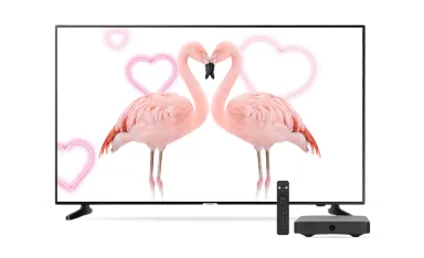 A TV, TELUS Digital box and remote control. The TV screen displays two flamingos kissing with pink hearts in the background.