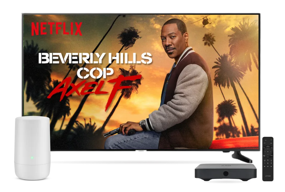 A TV displays a Netflix series Beverly Hills Cop along with Wi-Fi 6 device, TV digital box and a remote control.