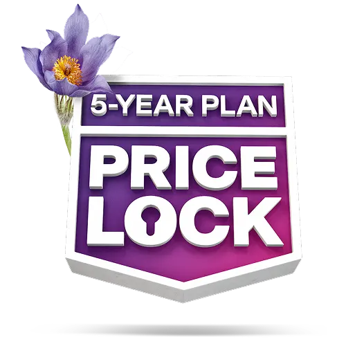 '5-YEAR PLAN PRICE LOCK' graphic with wild roses growing out of the side of it.