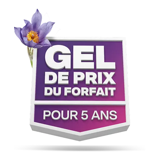 Graphique du « GEL DE PRIX DU FORFAIT POUR 5 ANS » avec une fleur violette qui en sortent.