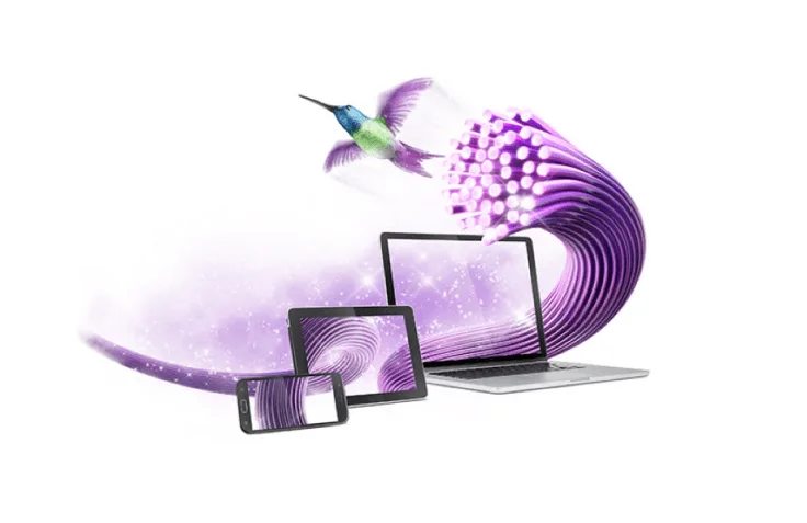 A mobile device, a tablet, and a laptop show abstract purple screens. A hummingbird flies overtop.