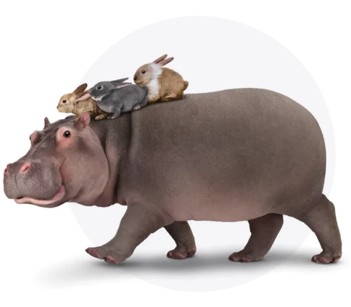 Un hippopotame et trois lapins, représentant de grosses économies sur les forfaits téléphones grâce au Rabais famille TELUS.