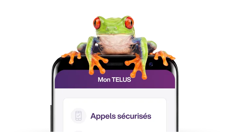 Une rainette aux yeux rouges sur un téléphone intelligent, représentant la Protection contre la fraude de TELUS.