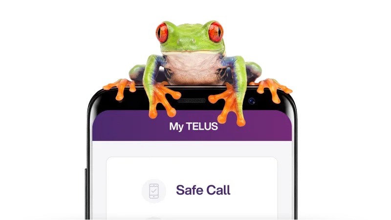 A red-eyed tree frog on a smartphone, representing TELUS Scam Protection.