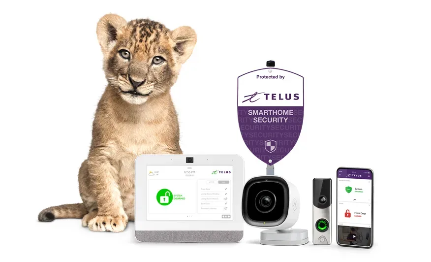 A lion cub is shown with TELUS SmartHome Security control panel, cameras, and smartphone app. 