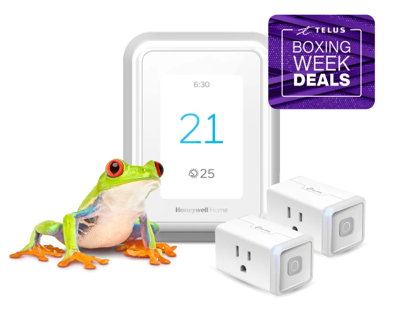 A frog is standing next to a smart thermostat and two smart plugs, displaying a roundel that says, "Boxing Week Deals"