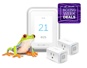 A frog is standing next to a smart thermostat and two smart plugs, displaying a roundel that says, Boxing Week Deals.