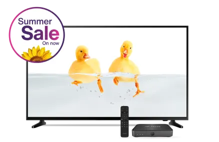 On a television screen, two ducklings are swimming. A roundel in the top left corner reads, "Summer Sale on Now."