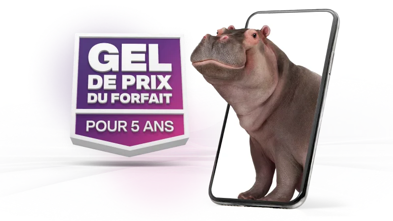 Un gros hippopotame émerge de l'écran d'un téléphone intelligent avec le logo « Gel de prix du forfait pour 5 ans » de TELUS sur le côté gauche.