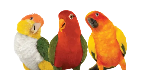 Three colourful parrots symbolizing the range of unlimited data plans available with TELUS.