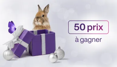 Une boîte-cadeau violette pour les fêtes avec un lapin qui se cache derrière. Un papillon est assis sur le côté gauche de la boîte. Le texte '50 prix à gagner' est visible au milieu droit de l'image.