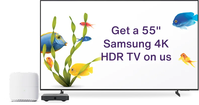 Samsung TV next to Wi-Fi hardware, displaying colorful fish, sea plants, and text: "Get a 55" Samsung 4K HDR TV on us.