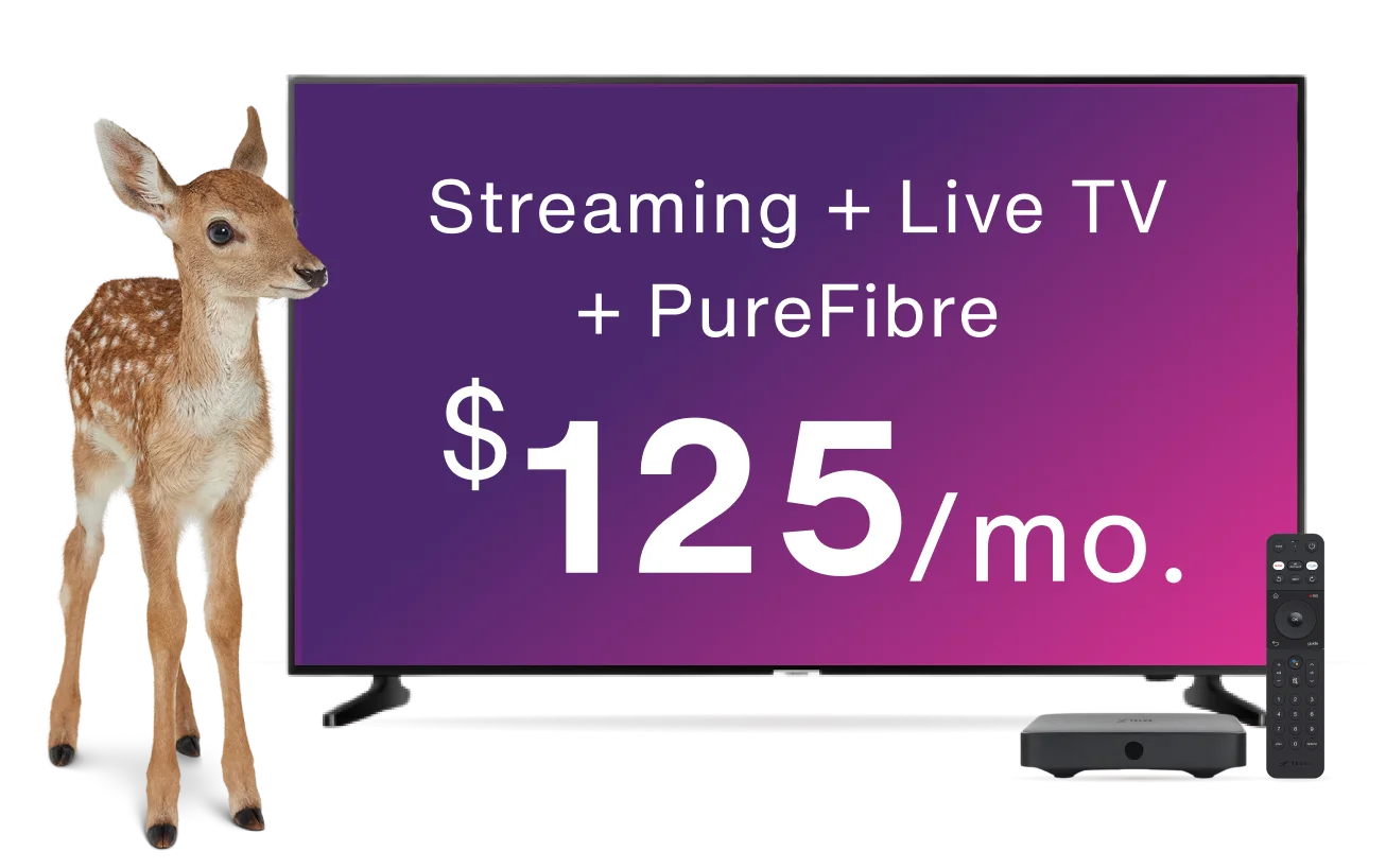 A deer standing next to a TV, digital TV box and remote control. The TV screen displays the text “Streaming + Live TV + PureFibre from only $125 per month”.