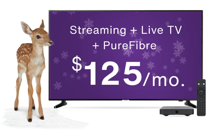 A deer standing next to a TV, digital TV box and remote control. The TV screen displays the text “Streaming + Live TV + PureFibre from only $125 per month”.