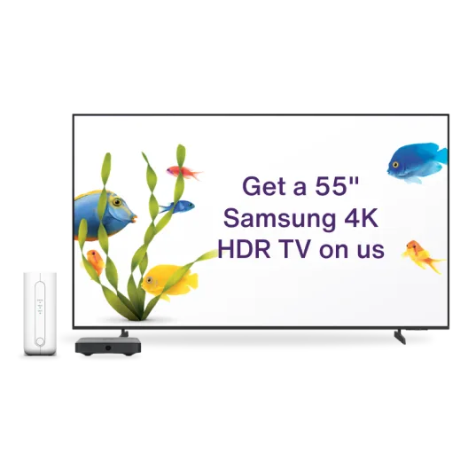 Samsung TV next to Wi-Fi hardware, displaying colorful fish, sea plants, and text: "Get a 55" Samsung 4K HDR TV on us.