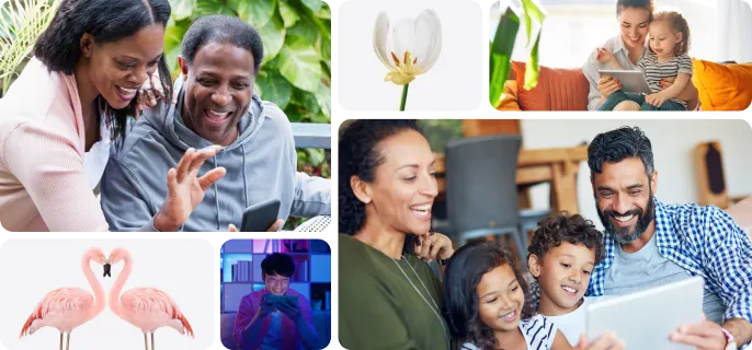 Multiple images of happy telus customers enjoying the benefits of our superior products. Also images of TELUS mascots, including lammas, flamingoes and flowers